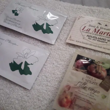 住宿加早餐酒店 Martina 4*